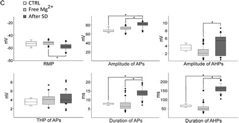 Spreading Depolarization Facilitates The Transition Of Neuronal Burst