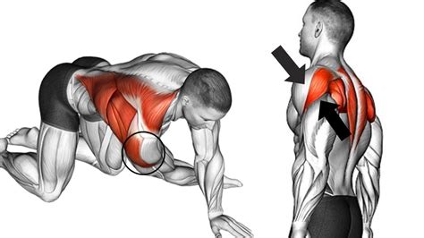 Killer Rear Delt Exercises For Bigger Stronger Shoulders Youtube