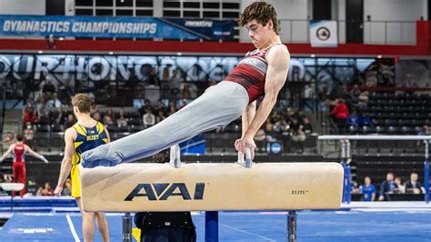 Peyton Cramer 2024 Mens Gymnastics Springfield College