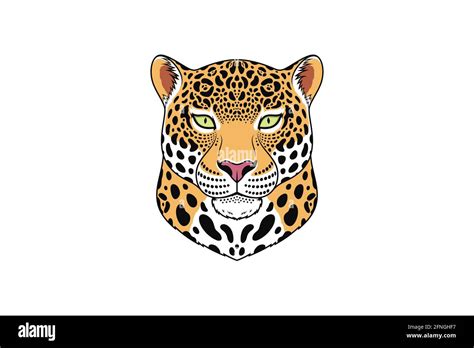 Jaguar Head Vector