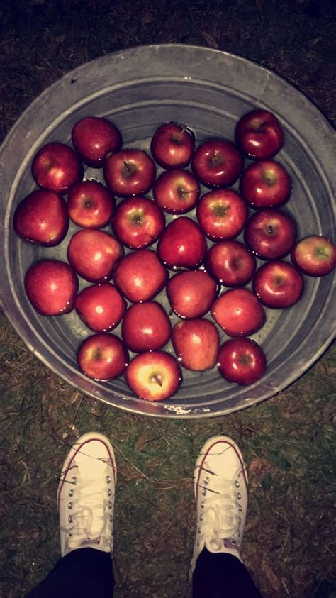 Apple bobbing | Bobbing for apples, Spooky halloween party, Halloween apples