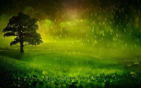 Calming Rain Wallpapers - Top Free Calming Rain Backgrounds ...