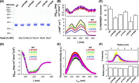 Counterintuitive Structural And Functional Effects Due To Naturally