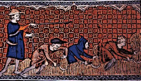 Medieval Peasants