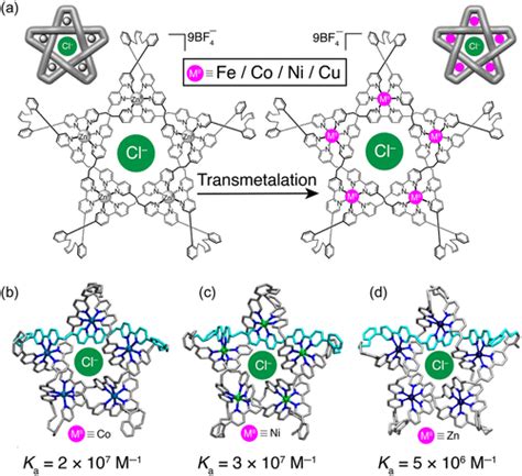 Whither Second Sphere Coordination Ccs Chemistry