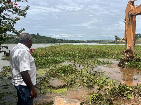 200 toneladas de aguapés foram retiradas do Bortolan Notícias de