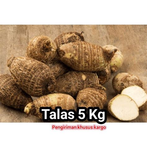 Jual TALAS BELITUNG SEGAR 5 KG TALAS MBOTE TALAS KIMPUL KUALITAS