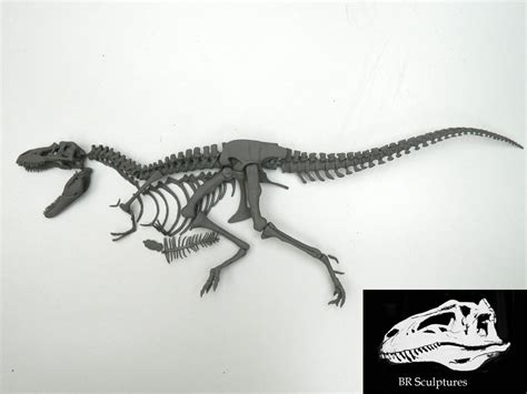 Gorgosaurus skeleton 1 : 15 scale by Benross91 on DeviantArt