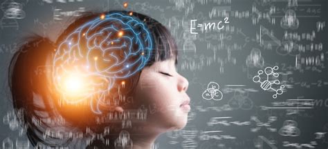 Los Beneficios Del Aprendizaje De Idiomas En El Cerebro