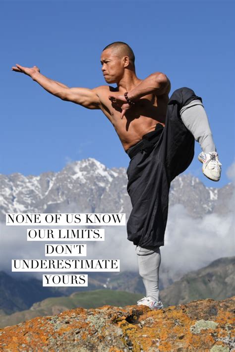 Kung Fu And Qigong Digital Training Downloads Shifu Yan Lei Martial