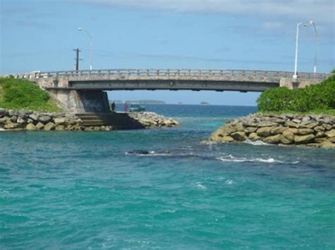 Majuro Bridge - 2021 All You Need to Know Before You Go (with Photos ...