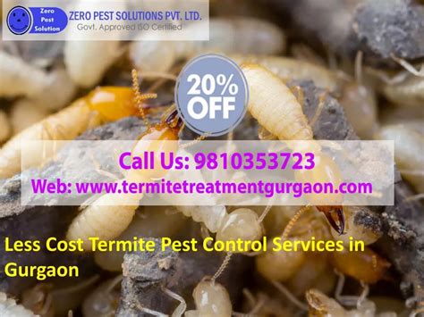 Ppt Less Price Termite Pest Control Services In Gurgaon Call