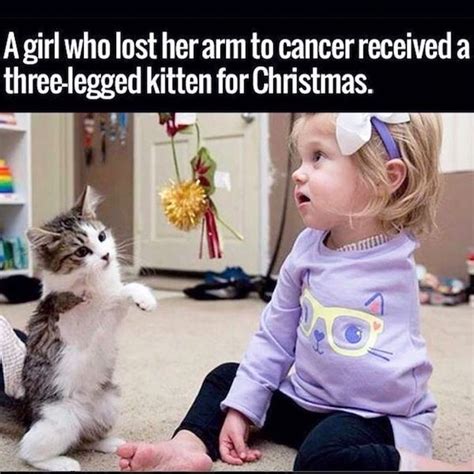 27 Heartwarming Photos That Will Brighten Even The Cloudiest Day