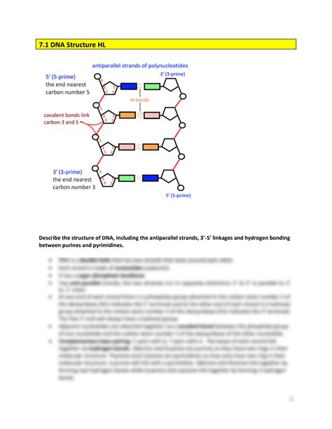 Solution Ib Bio Notes Hl Dna Structure Studypool