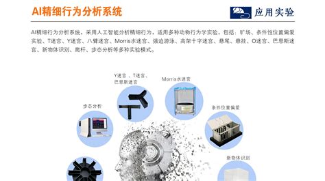 Ai精细行为分析系统、大小鼠精细行为分析系统、多功能整合型精细行为识别分析系统 哔哩哔哩