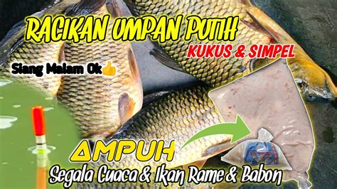 Umpan Putih Kukus IKAN MAS Paling Jitu Ampuh Untuk Ikan Rame Babon