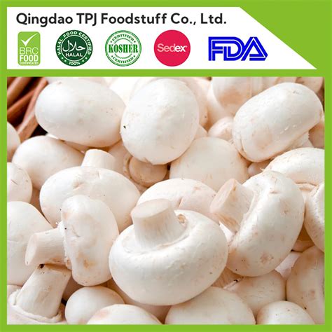 New Season High Quality Iqf Fresh Frozen Champignon Mushroom White