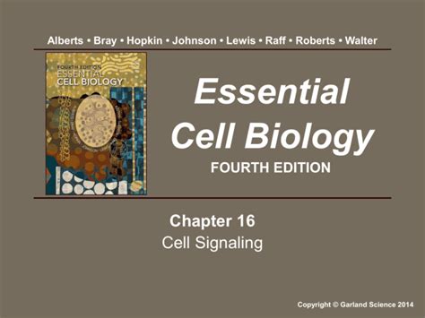 Essential Cell Biology Fourth Edition