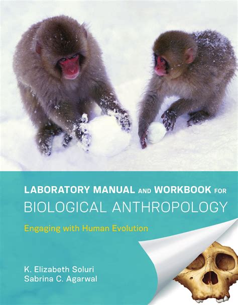 Laboratory Manual and Workbook for Biological Anthropology: Engaging with Human Evolution NA K ...