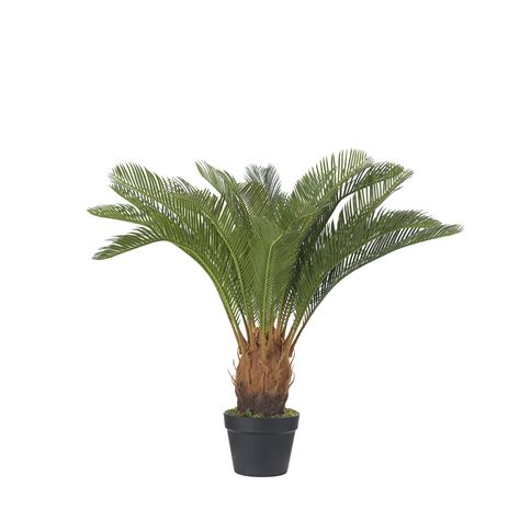Sago Cycas Palm in Black Nursery Pot – TL1027|D&W Silks