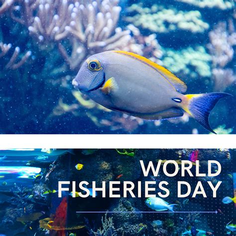 World Fisheries Day Farmers Seek Enabling Environment To Boost