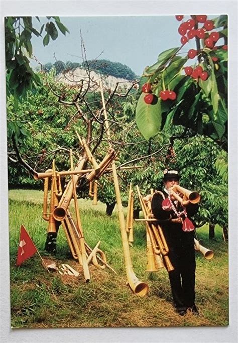 Cor Des Alpes Alphorn Kaufen Auf Ricardo