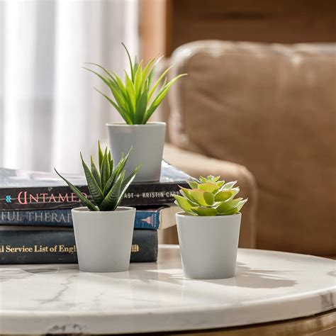 Amazon Hejdeco Juego De 3 Mini Plantas Suculentas Artificiales