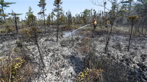 Shelburne County Wildfire Now Under Control Cbc News