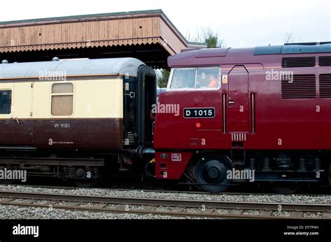 Preserved Class 52 Diesel Locomotive No D1015 Western Champion At Leamington Spa Uk Stock