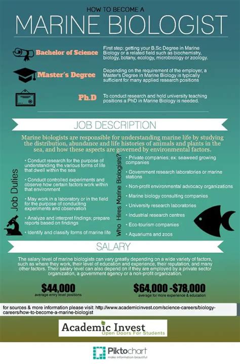 How To Become A Marine Biologist Academic Invest