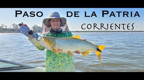 La Hermosa Pesca De Dorados En Corrientes YouTube