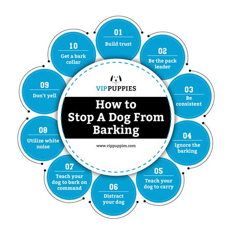 how to i get my dog to stop barking 6