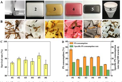 Figure From Biodegradation Of Polystyrene Wastes In Yellow Mealworms