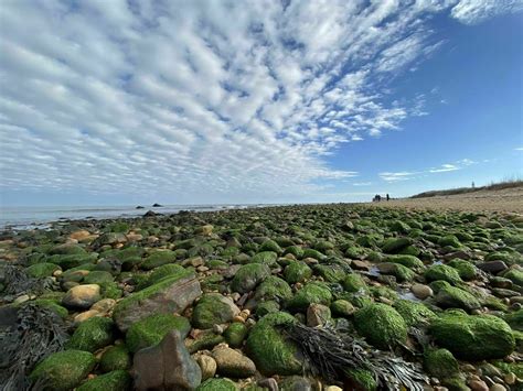 Exploring The Trails Of Montauk Point State Park Mappy Hour Blog