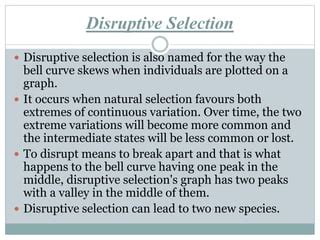 Disruptive Selection Definition