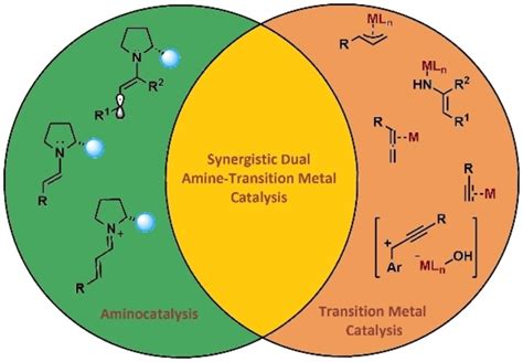 Synergistic Dual Amine Transition Metal Catalysis Recent Advances