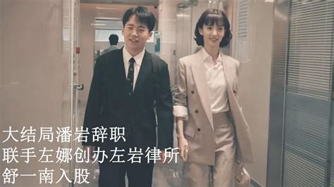 平凡之路：大结局潘岩辞职，联手左娜创办左岩律所，舒一南入股