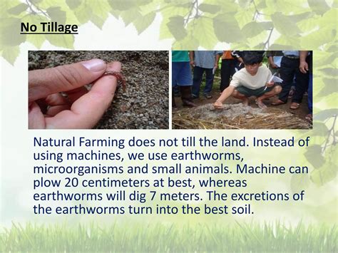 Natural Farming | PPT