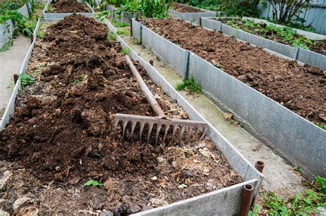 10 Best Ways To Fill A Raised Bed For Cheap Diy And Crafts