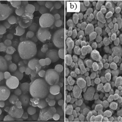 Sem Image Of A Alumina And B Titanium Dioxide Nanoparticle Download Scientific Diagram