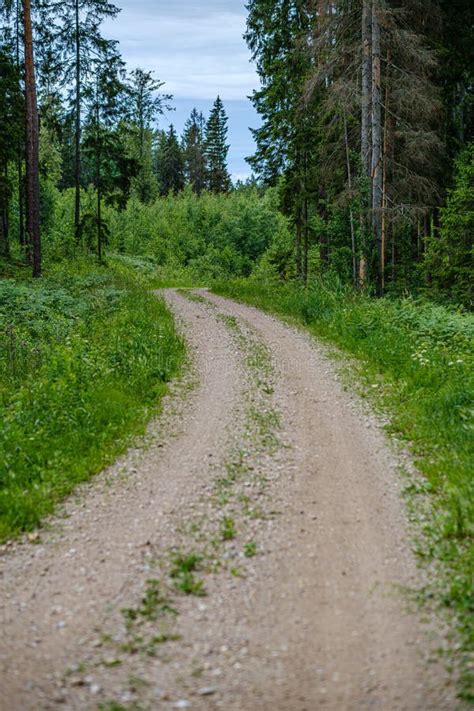 Gravel Dirt Road Texture With Sand And Pebbles Stock Image Image Of