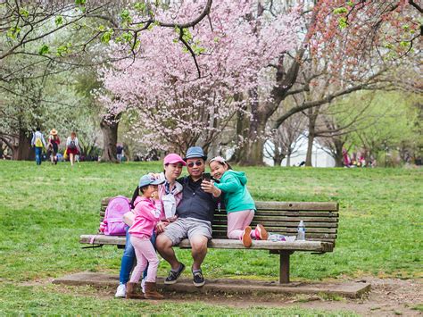 A Guide to the 2024 Philadelphia Cherry Blossom Festival | Visit ...