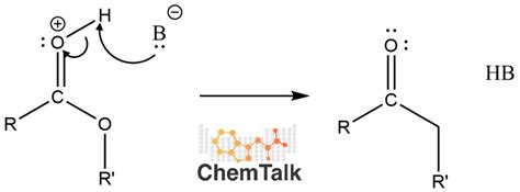 What is Fischer Esterification? | ChemTalk