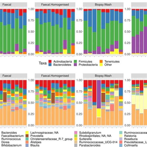 Relative Abundance For Faecal F Faecal Homogenised Fhg Rectal