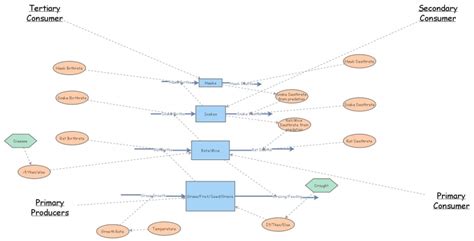 Final Presentation Model Insight Maker