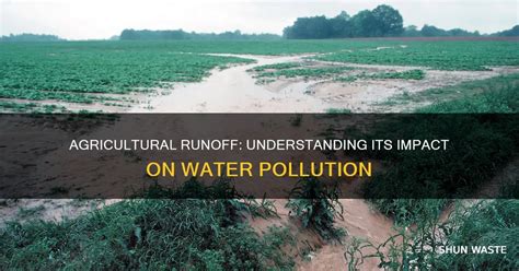 agricultural runoff understanding  impact  water pollution