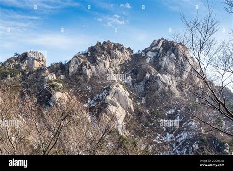 Bukhansan Mountain National Park With Rocks Snow And Dead Trees In