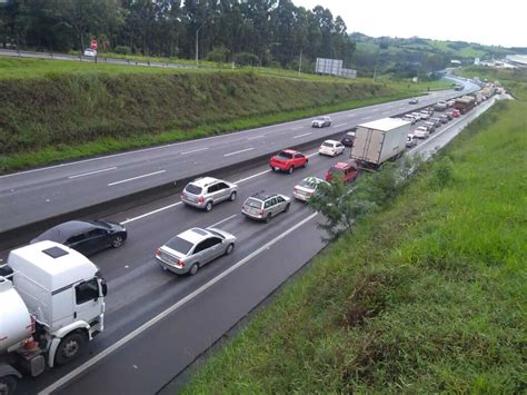 Motorista Morre E Passageiros Ficam Feridos Ap S Carro Bater Em Cavalo