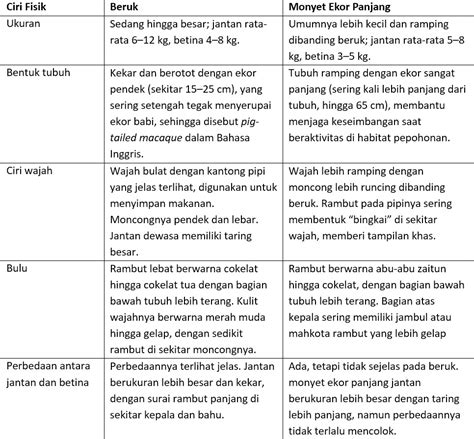 lima perbedaan utama antara beruk  monyet ekor panjang restorasi