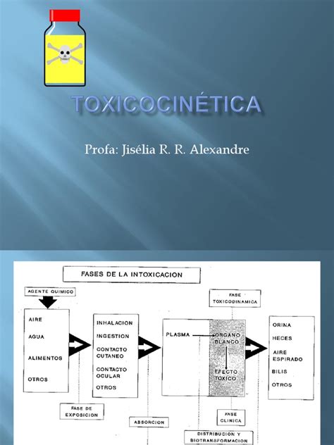 PDF Toxicocinetica Aula 1 DOKUMEN TIPS